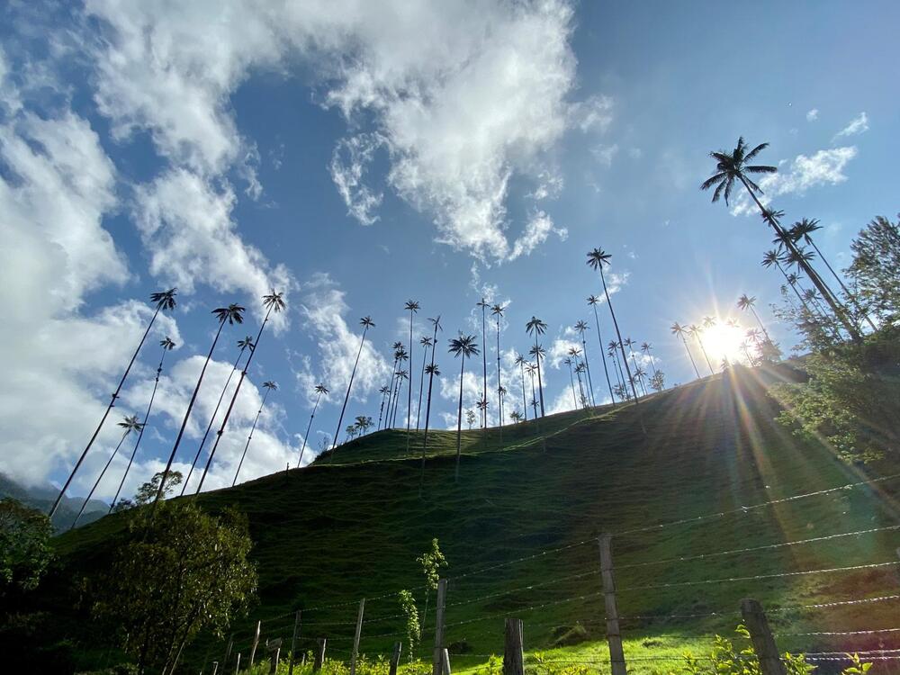 imagen de un paisaje natural en colombia